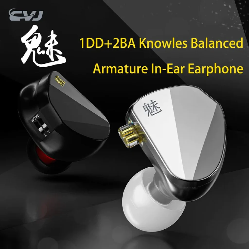 CVJ - Mei IEM - Image 16